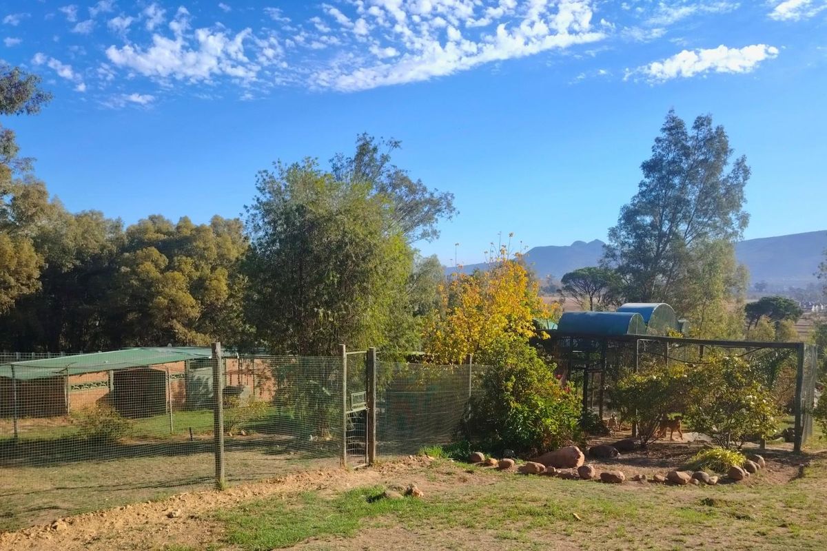 Income-Generating Paarl Smallholding with Established Kennel Business - Photo 4