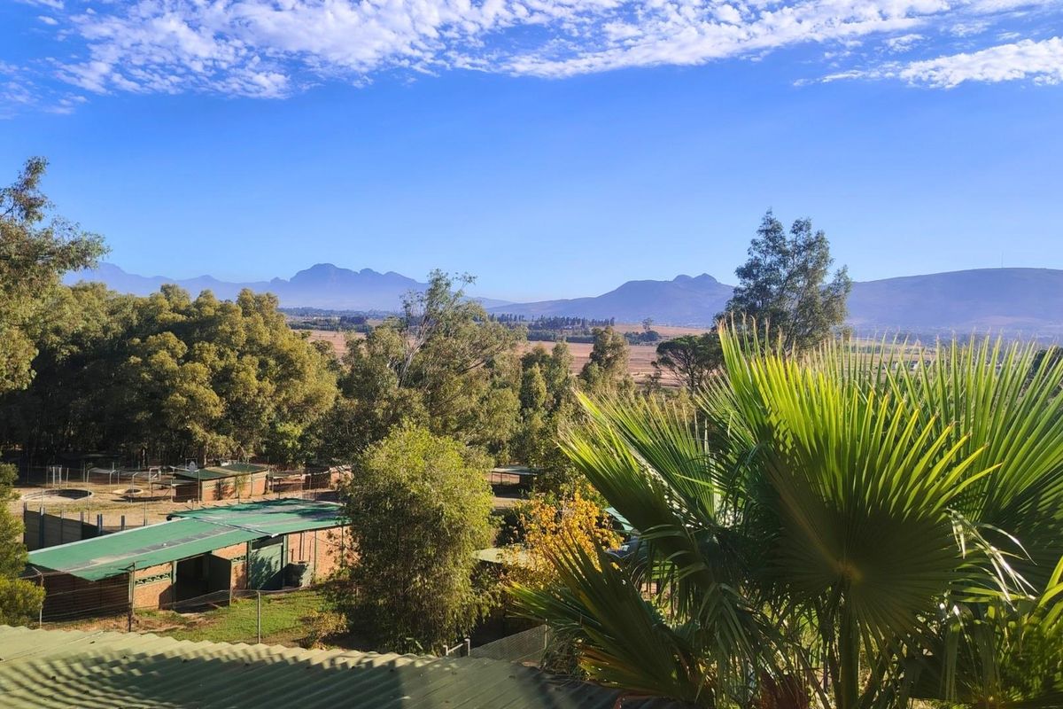 Income-Generating Paarl Smallholding with Established Kennel Business - Photo 3