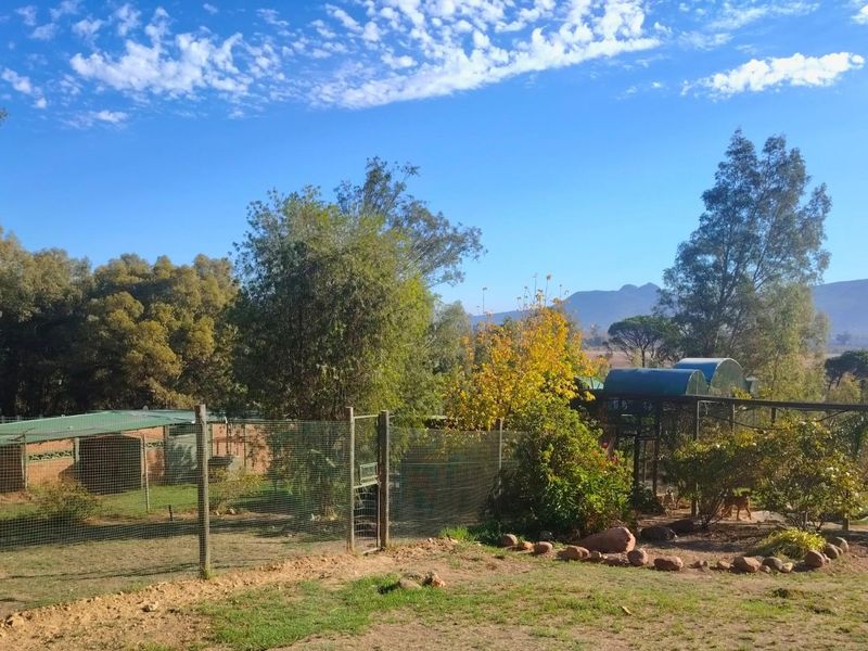 A view of the farm grounds featuring fenced enclosures, mature trees, and distant mountain scenery under a clear blue sky.