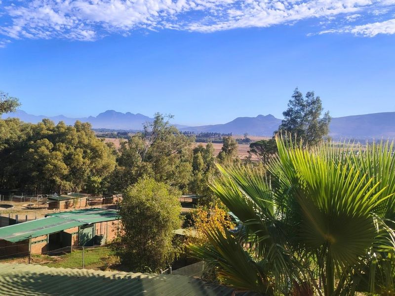 Scenic elevated view overlooking the farm grounds, featuring outbuildings, mature trees, and distant mountain ranges under a clear blue sky.
