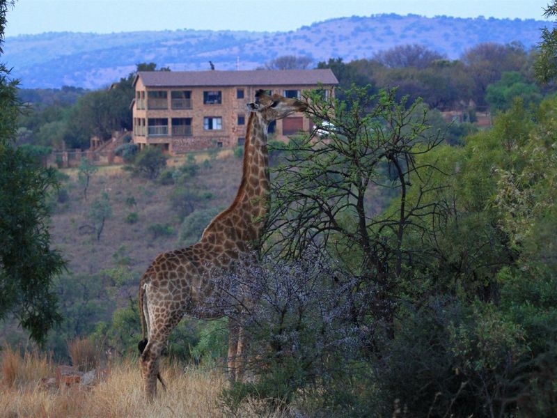 PRIVATE WILDLIFE ESTATE LIVING - Photo 2