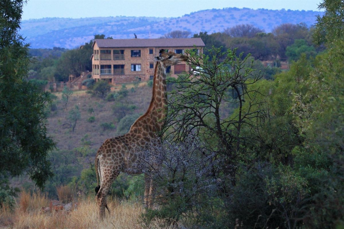 PRIVATE WILDLIFE ESTATE LIVING - Photo 2