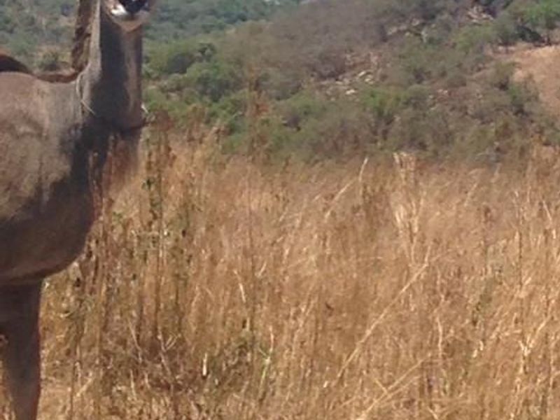 Crocodile River Reserve - Lanseria - Photo 9