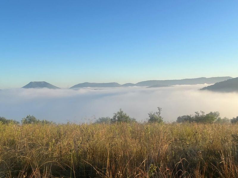 Crocodile River Reserve - Lanseria - Photo 4