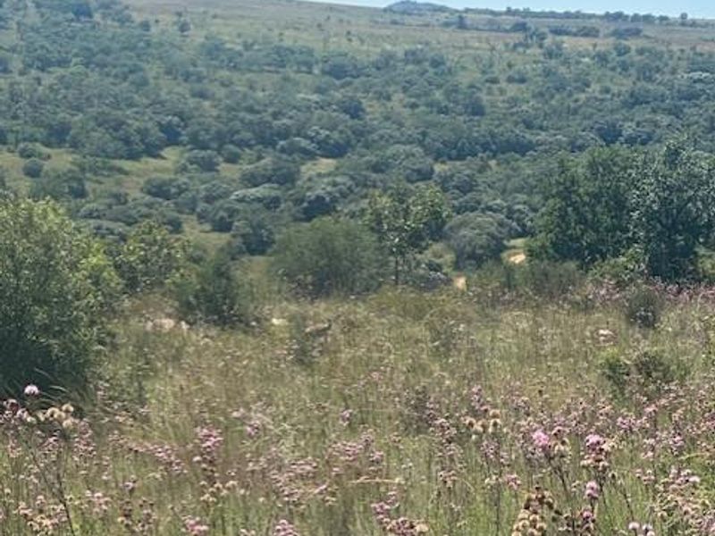 Crocodile River Reserve - Lanseria - Photo 2
