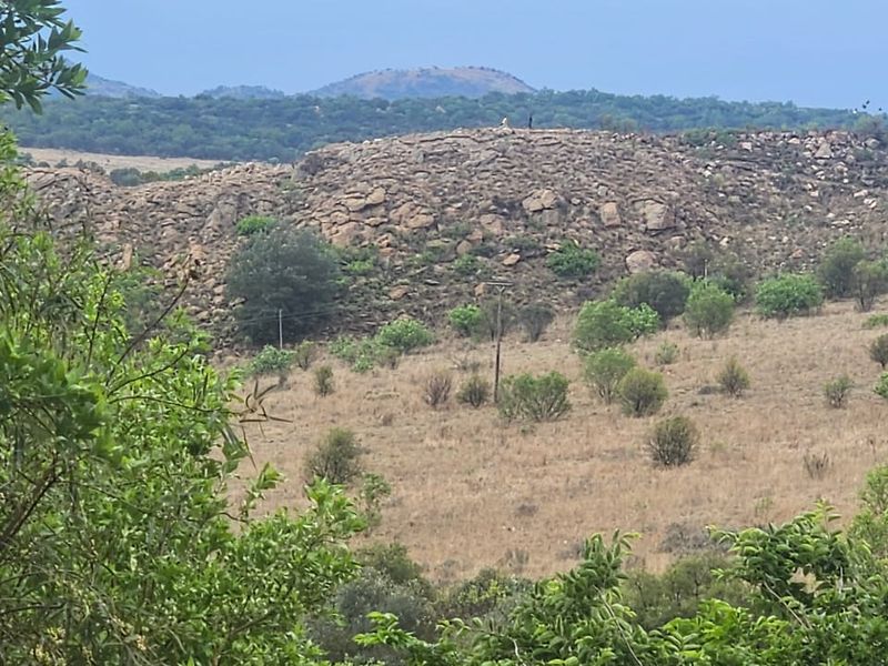 Crocodile River Reserve - Lanseria - Photo 6