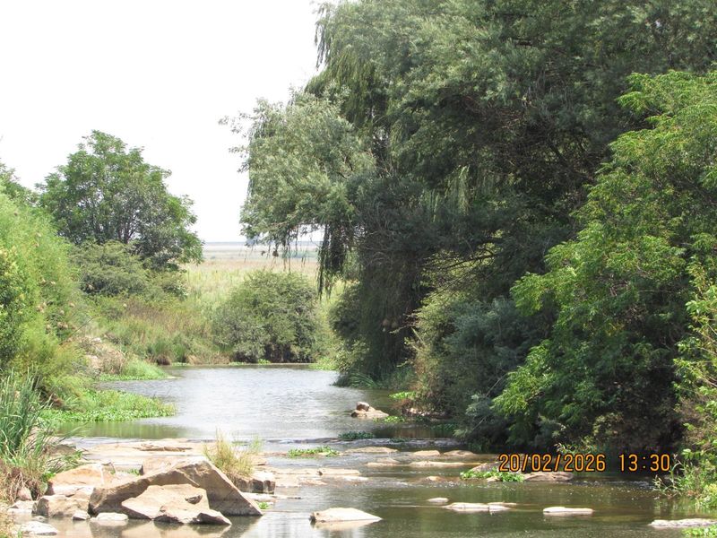 A scenic view of a natural stream flowing through the property, featuring a rocky riverbed and lush, mature riparian vegetation.