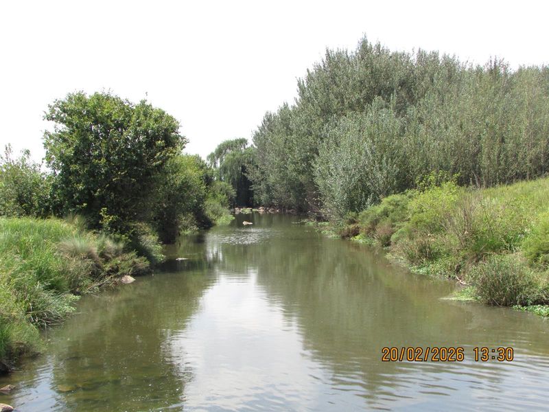 A scenic view of a natural river flowing through the farm property, surrounded by mature trees and lush riparian vegetation.