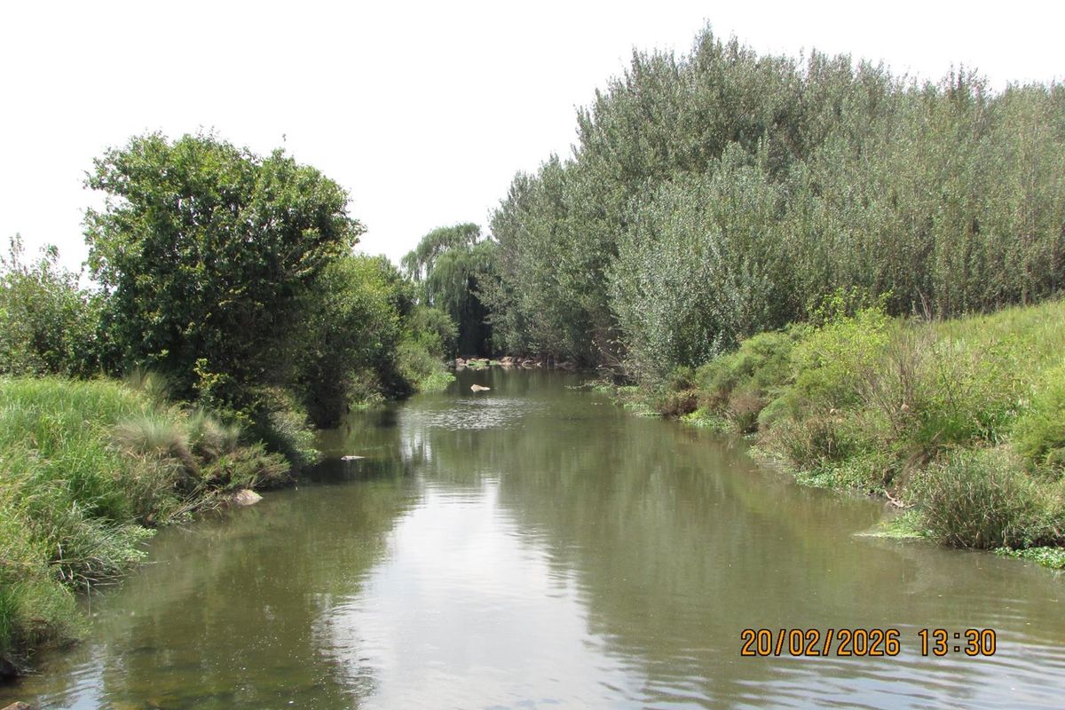 A scenic view of a natural river flowing through the farm property, surrounded by mature trees and lush riparian vegetation.
