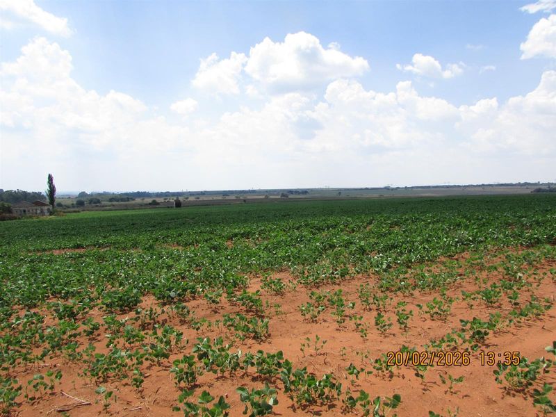 Expansive view of cultivated farmland with young crops growing in red soil under a clear blue sky.