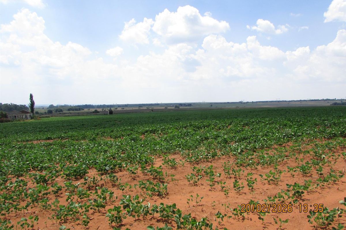 Expansive view of cultivated farmland with young crops growing in red soil under a clear blue sky.