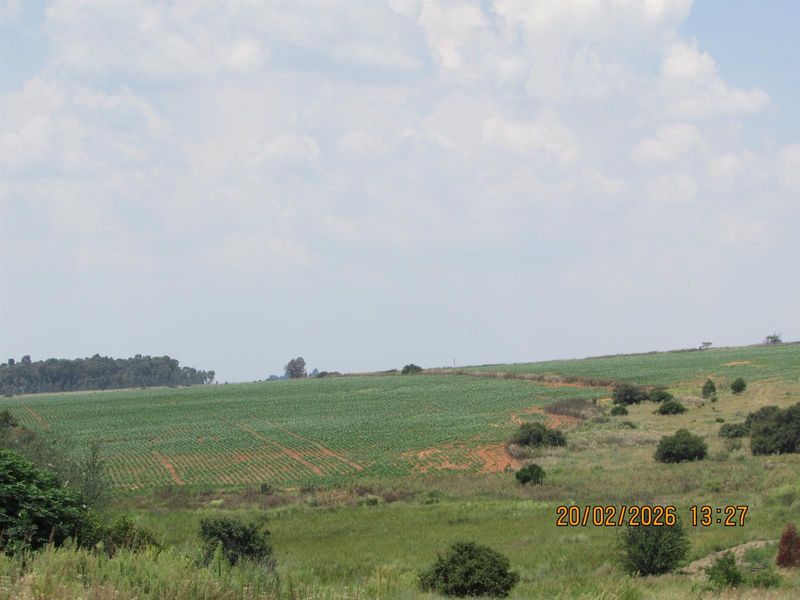 A scenic view of expansive, cultivated farmland and rolling hills, showcasing the natural landscape and agricultural potential of the property.