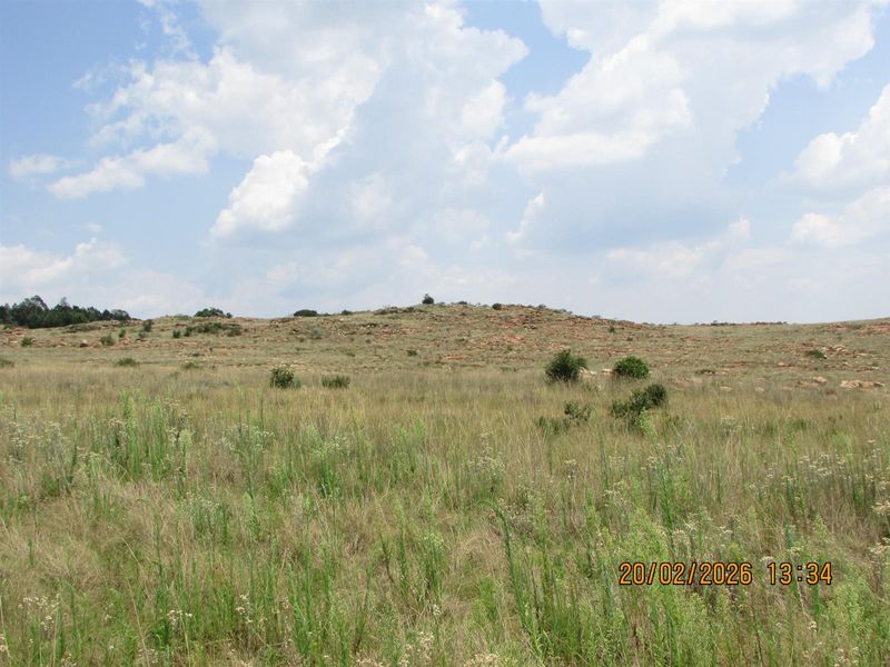 A wide-angle view of the open farm landscape featuring natural grassland and rocky terrain under a cloudy sky.