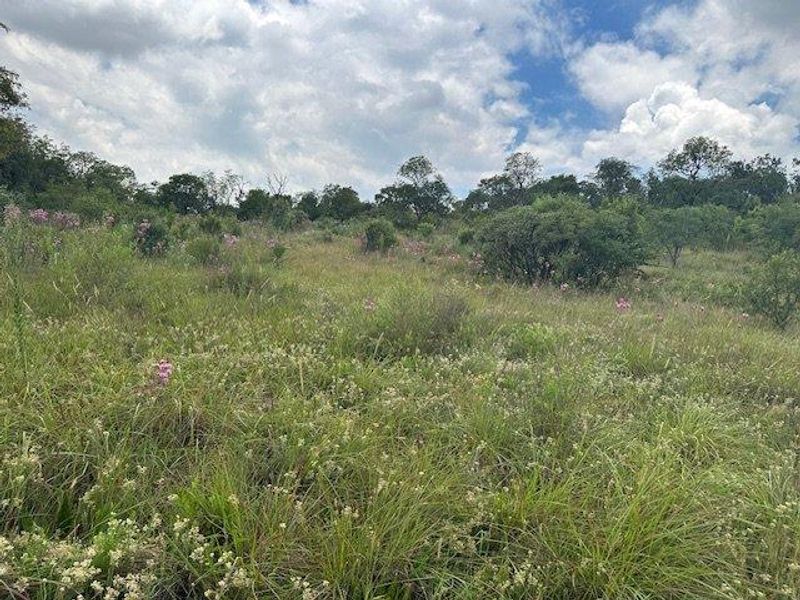 Crocodile River Reserve- Vacant Land near the N14 - Photo 4