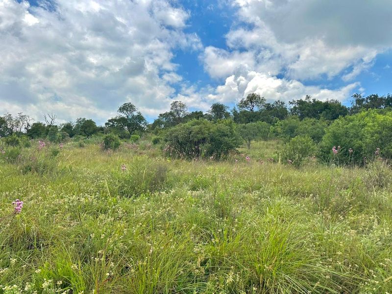 Crocodile River Reserve- Vacant Land near the N14 - Photo 2