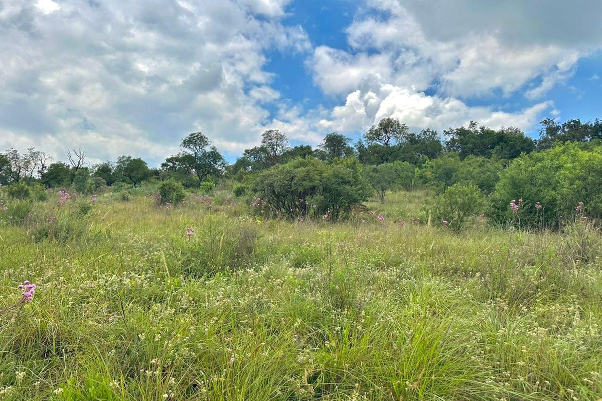 A view of a vacant residential plot featuring natural grassland and indigenous trees under a cloudy sky.