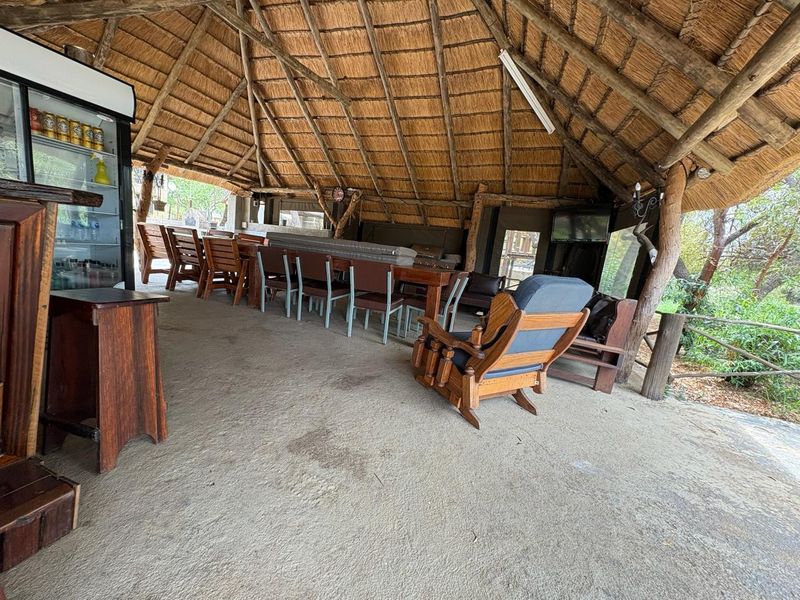 680ha Bushveld Koster Rustenburg - Game - Venue - Accommodation - Entertainment - Restaurant - Photo 7