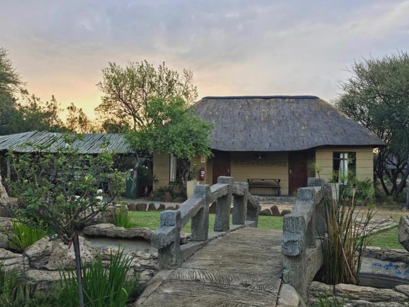 680ha Bushveld Koster Rustenburg - Game - Venue - Accommodation - Entertainment - Restaurant - Photo 2