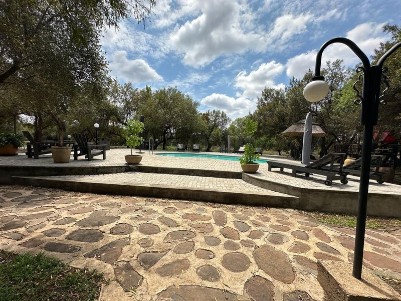 680ha Bushveld Koster Rustenburg - Game - Venue - Accommodation - Entertainment - Restaurant - Photo 3