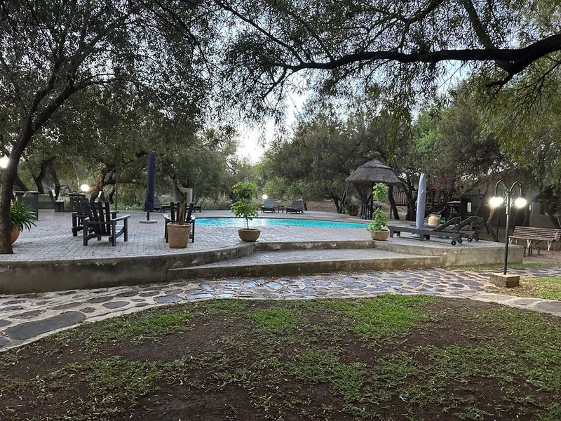680ha Bushveld Koster Rustenburg - Game - Venue - Accommodation - Entertainment - Restaurant - Photo 4