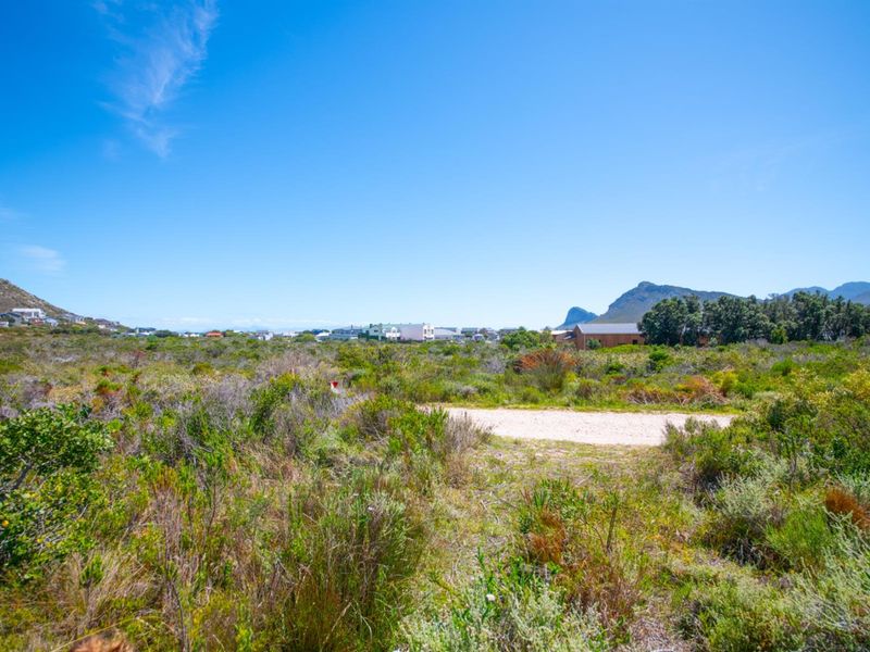 House For Sale in Pringle Bay - Photo 3