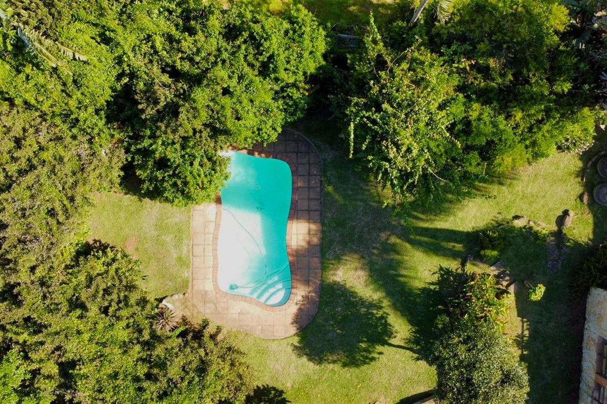 Garden Paradise with Pool, Balcony and Jacuzzi - Photo 4