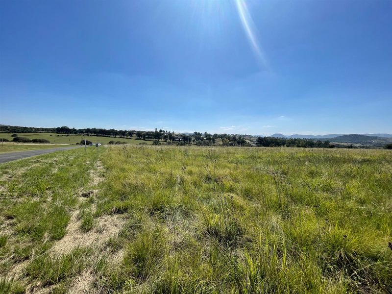 NORTH FACING ELEVATED STANDS - Photo 10
