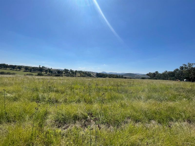 NORTH FACING ELEVATED STANDS - Photo 9