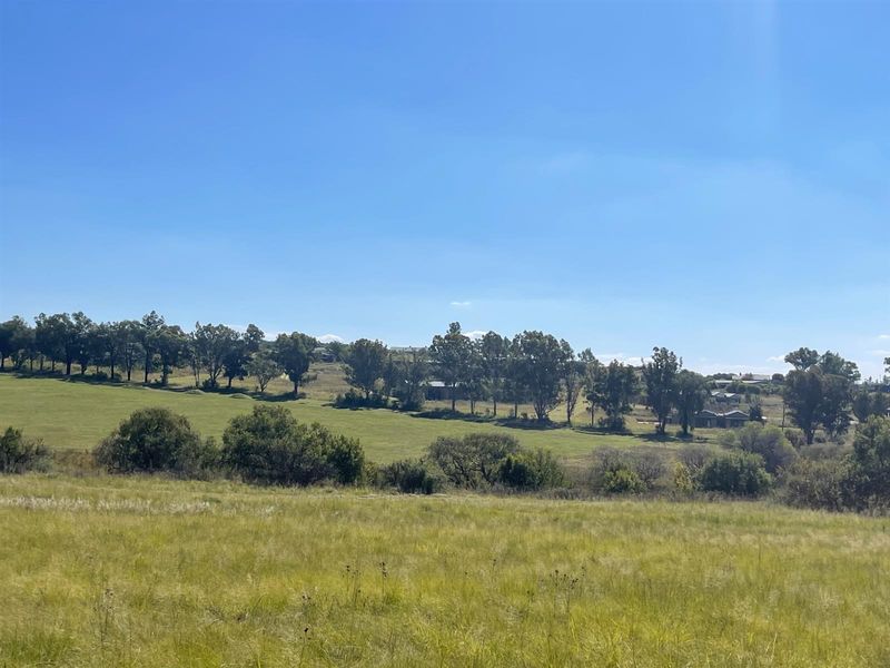 NORTH FACING ELEVATED STANDS - Photo 4