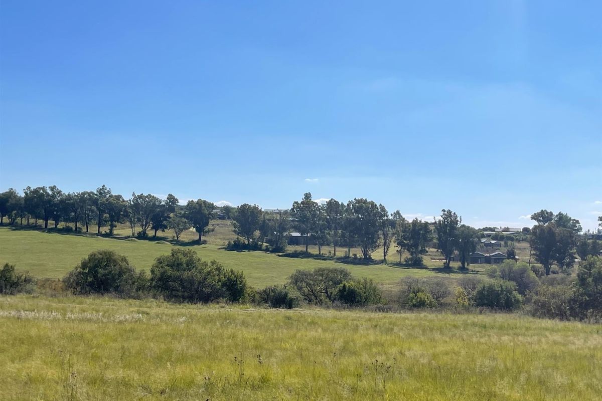 NORTH FACING ELEVATED STANDS - Photo 4