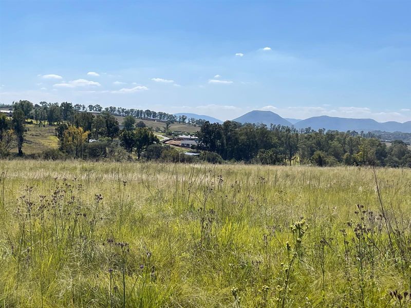 NORTH FACING ELEVATED STANDS - Photo 8
