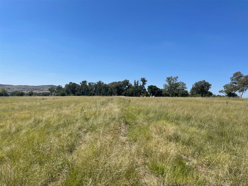 NORTH FACING ELEVATED STANDS - Photo 2