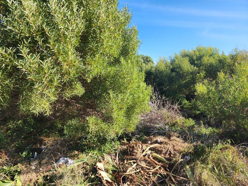 Prime opportunity Vacant Land For Sale in Wavecrest Jeffreys Bay - Photo 7