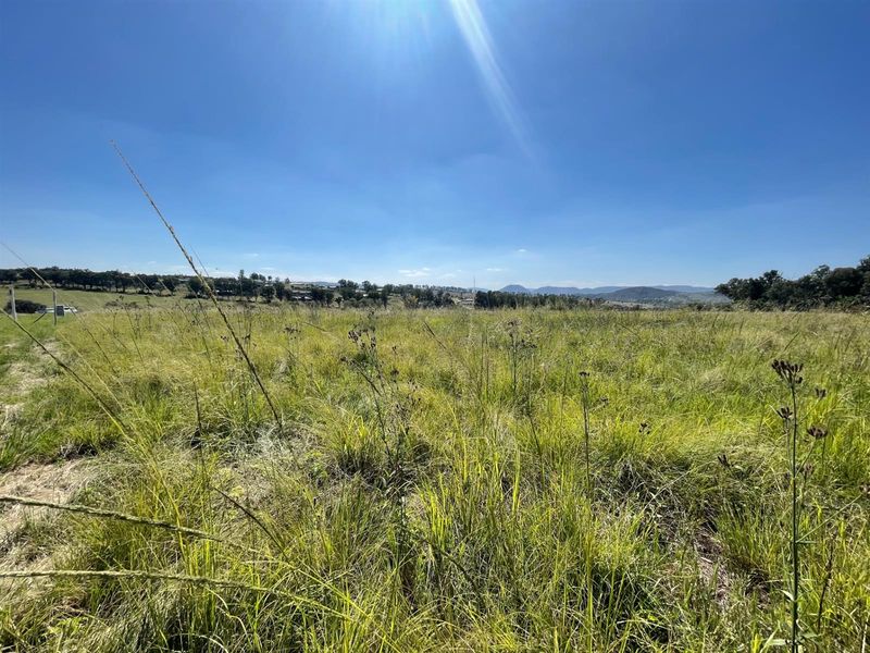 SECURE ESTATE FARM STYLE LIVING - Photo 4