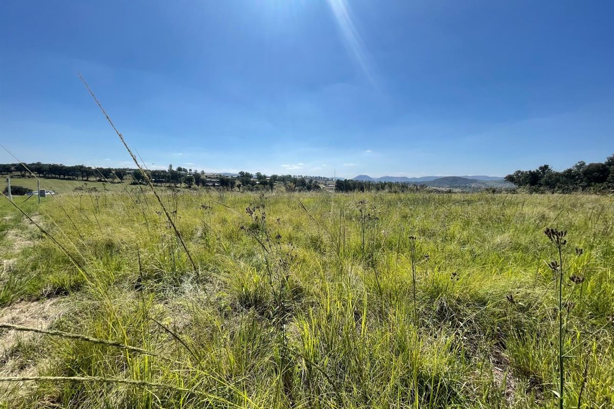 SECURE ESTATE FARM STYLE LIVING - Photo 4