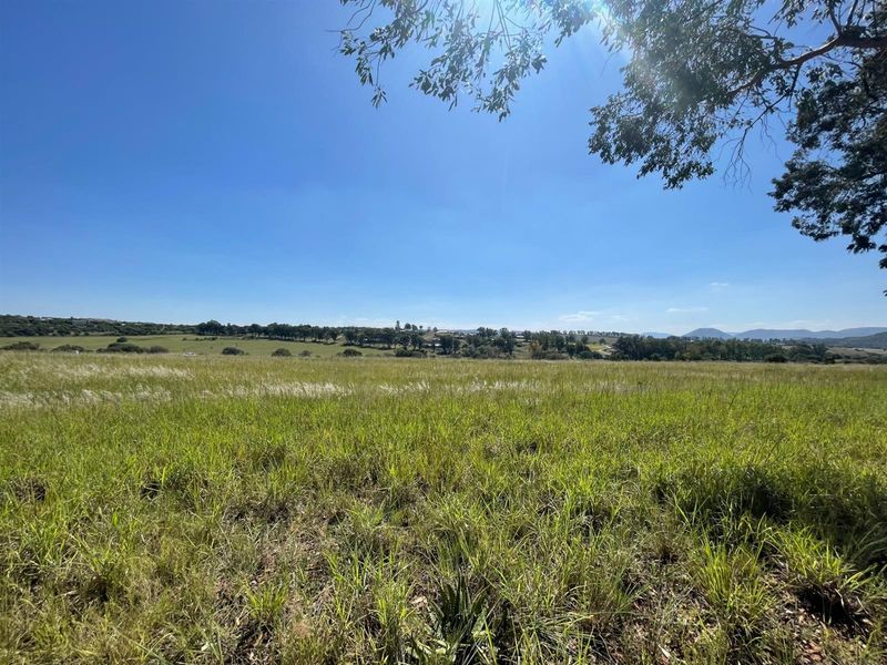 SECURE ESTATE FARM STYLE LIVING - Photo 3