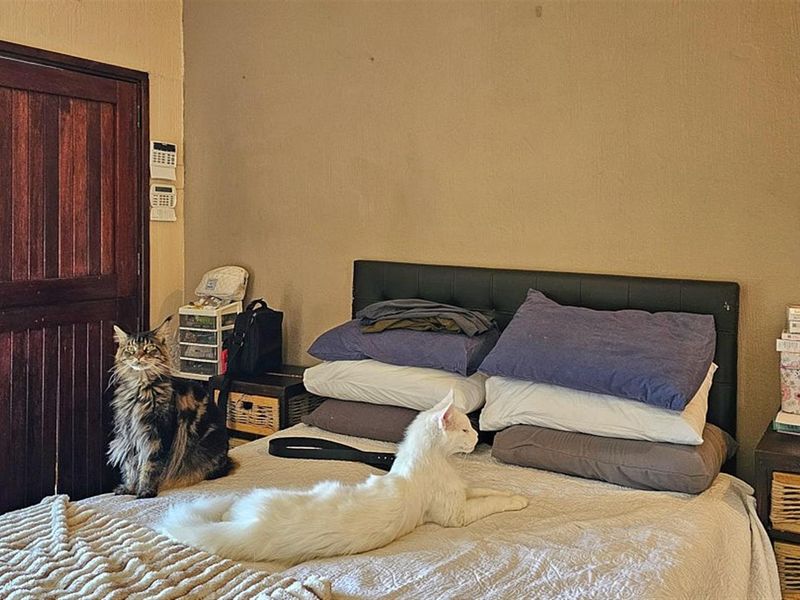 Welcoming Family house with Modern Upgrades - Photo 6