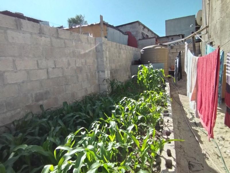 A narrow side garden area featuring a concrete block boundary wall, a water storage tank, and a raised garden bed with crops.