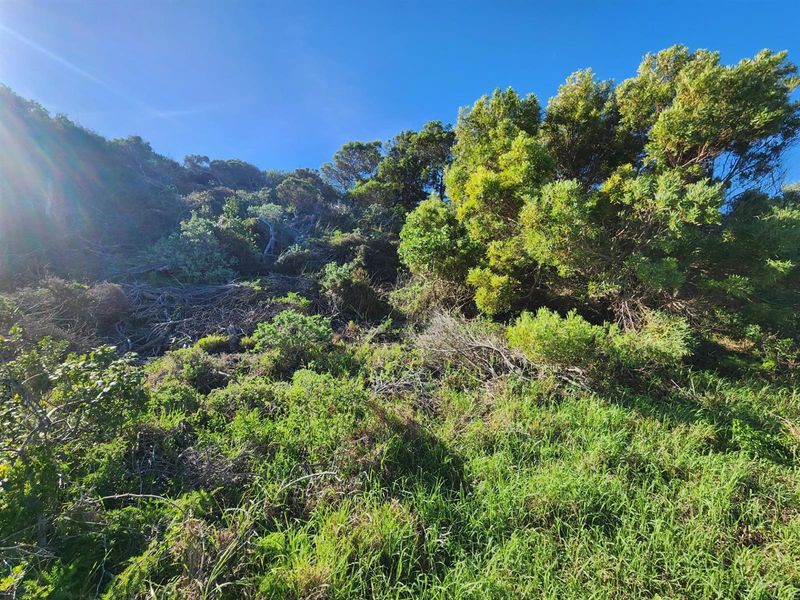 Views from this corner stand in Paradise Beach Eastern Cape - Photo 5