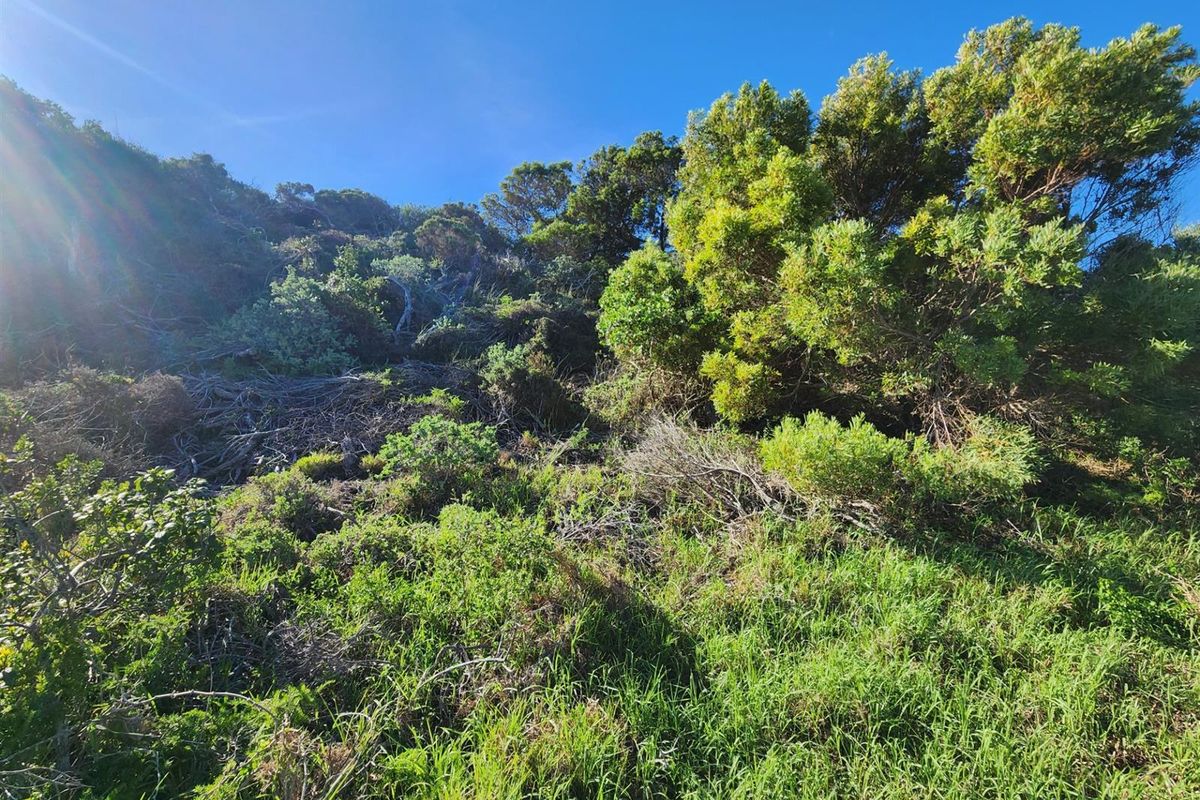 Views from this corner stand in Paradise Beach Eastern Cape - Photo 5