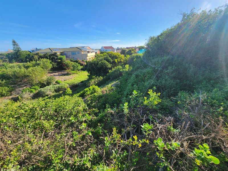 Views from this corner stand in Paradise Beach Eastern Cape - Photo 6