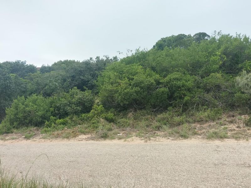 Vacant Land For Sale in Paradise Baech - Photo 2