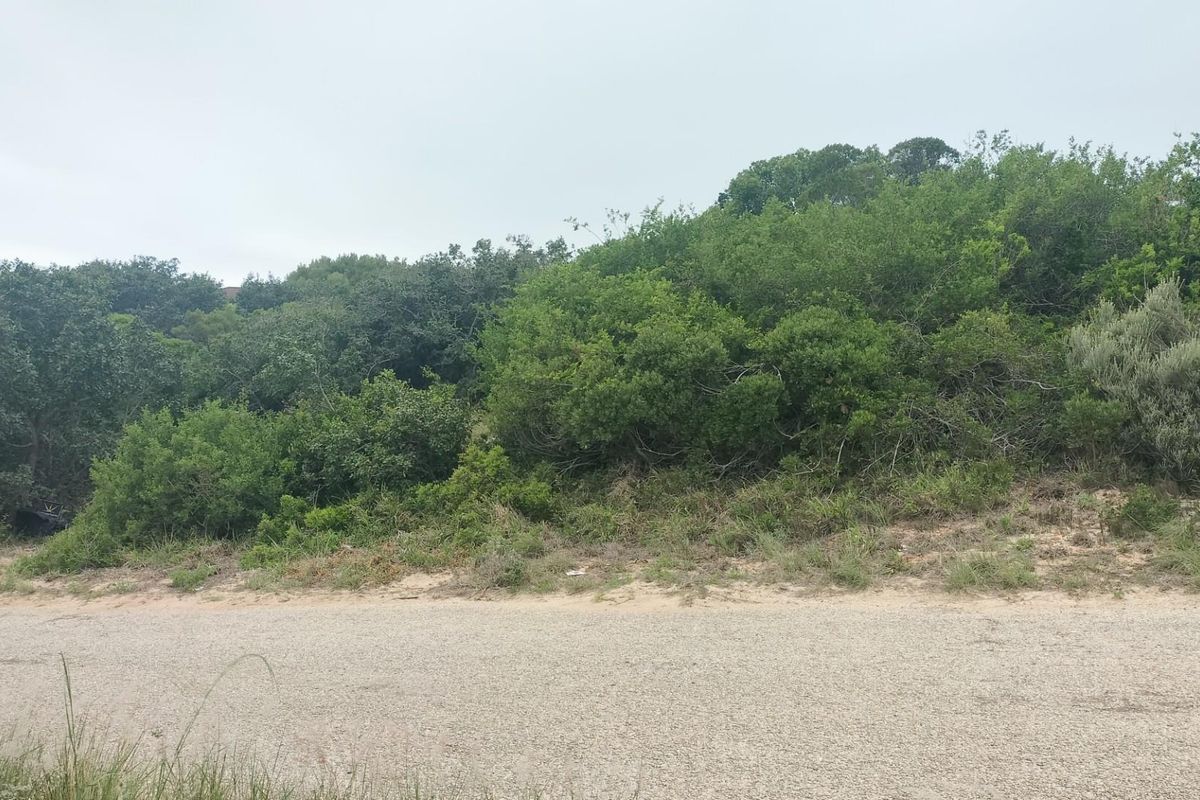 Vacant Land For Sale in Paradise Baech - Photo 2