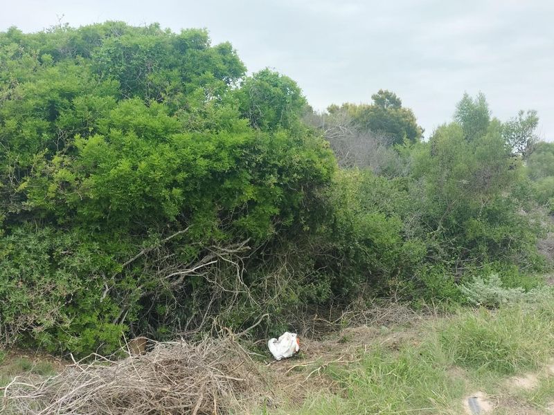 Vacant Land For Sale in Paradise Baech - Photo 3