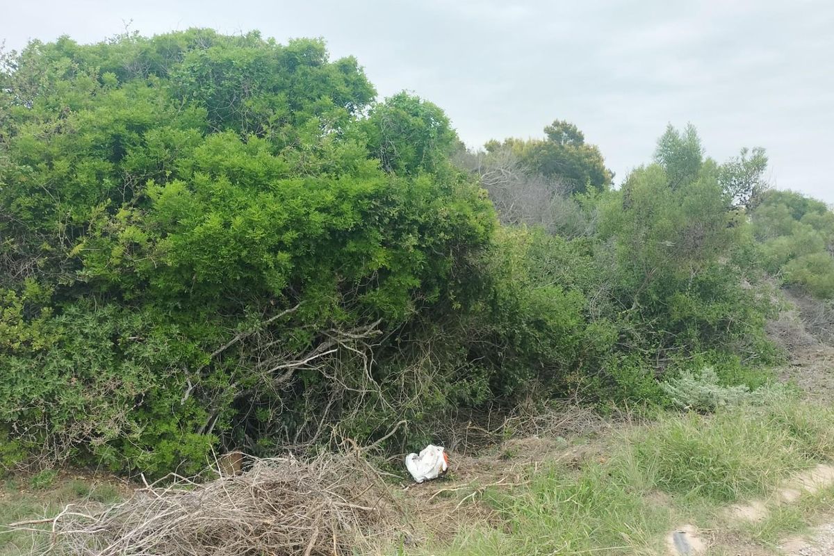 Vacant Land For Sale in Paradise Baech - Photo 3