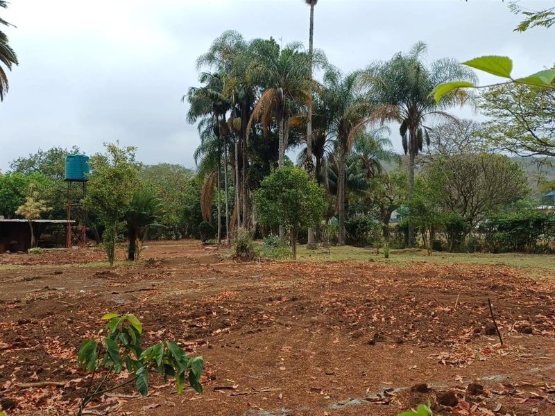 Prime 2,000m2 Vacant Stand in High‐Demand Location - Photo 7