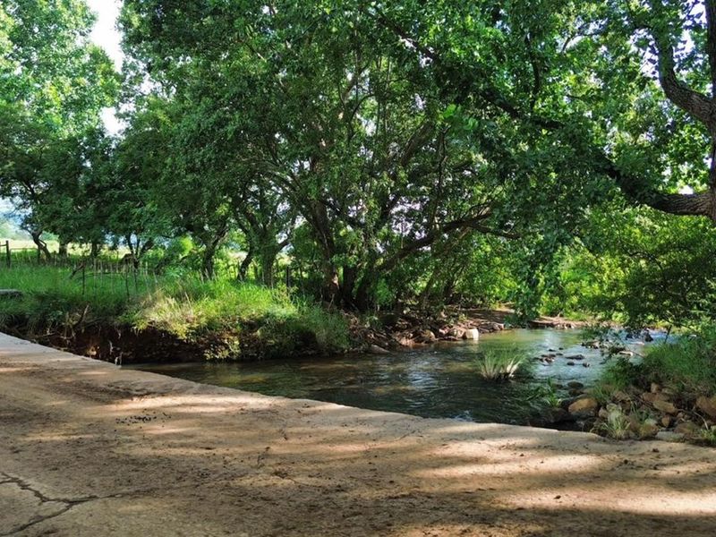 Spectacular 144ha Lifestyle Farm in the Steenkamps Mountains near Lydenburg - Photo 4