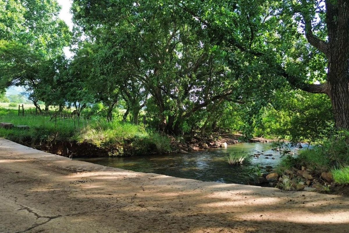 Spectacular 144ha Lifestyle Farm in the Steenkamps Mountains near Lydenburg - Photo 4