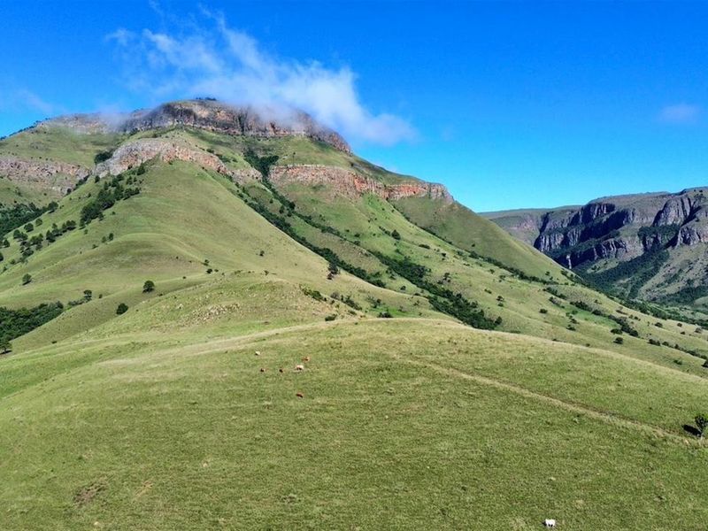 Spectacular 144ha Lifestyle Farm in the Steenkamps Mountains near Lydenburg - Photo 2