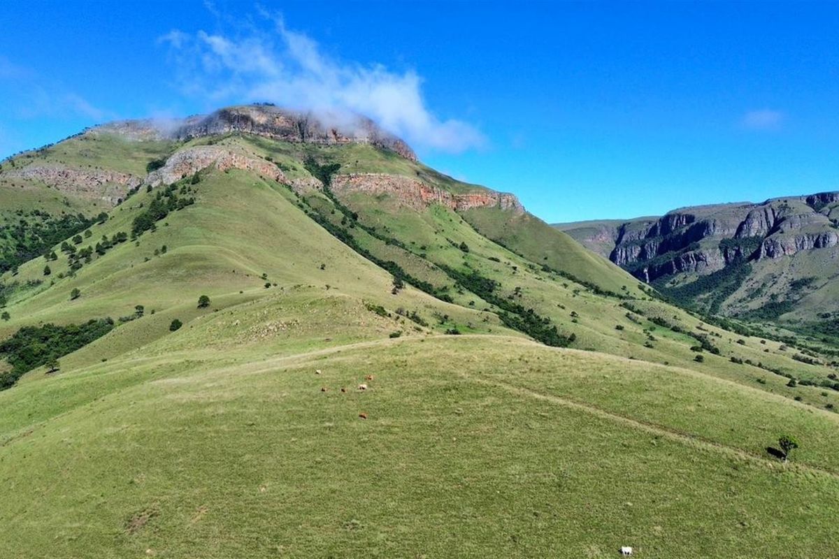 Spectacular 144ha Lifestyle Farm in the Steenkamps Mountains near Lydenburg - Photo 2